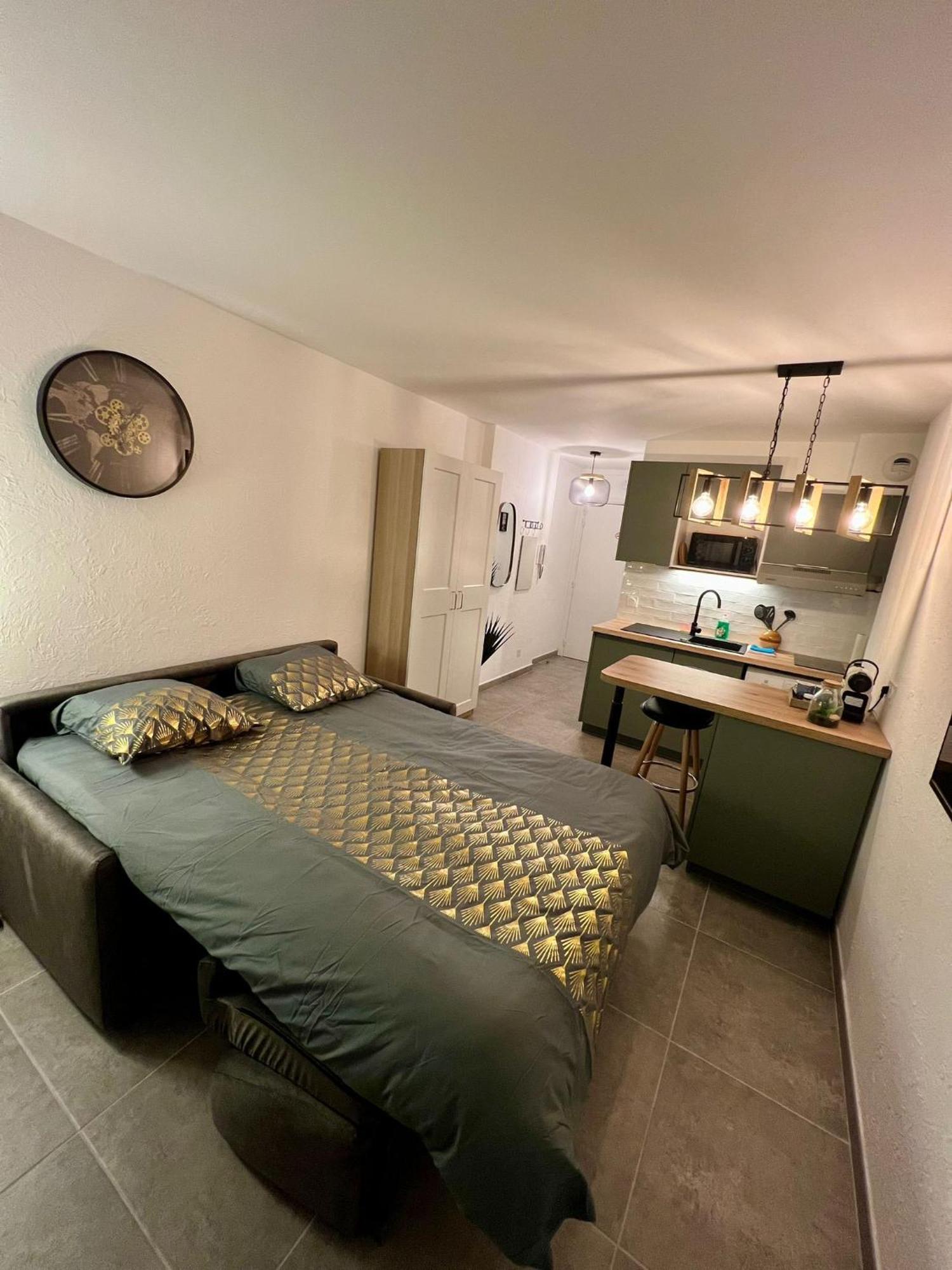 Studio Climatise, Cosy Et Calme Au Centre Ville أنتيب المظهر الخارجي الصورة